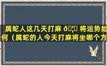 属蛇人这几天打麻 🦅 将运势如何（属蛇的人今天打麻将坐哪个方位旺财）